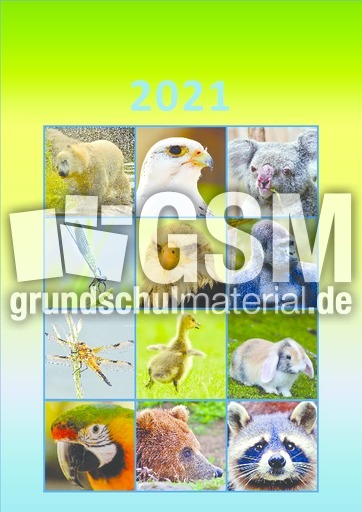 Tier_Kalender_2021_8.pdf